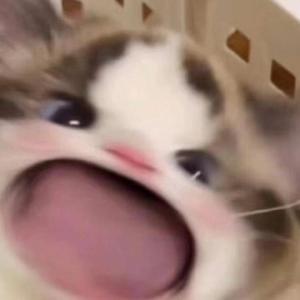 六年级小女孩在洗澡间小便
